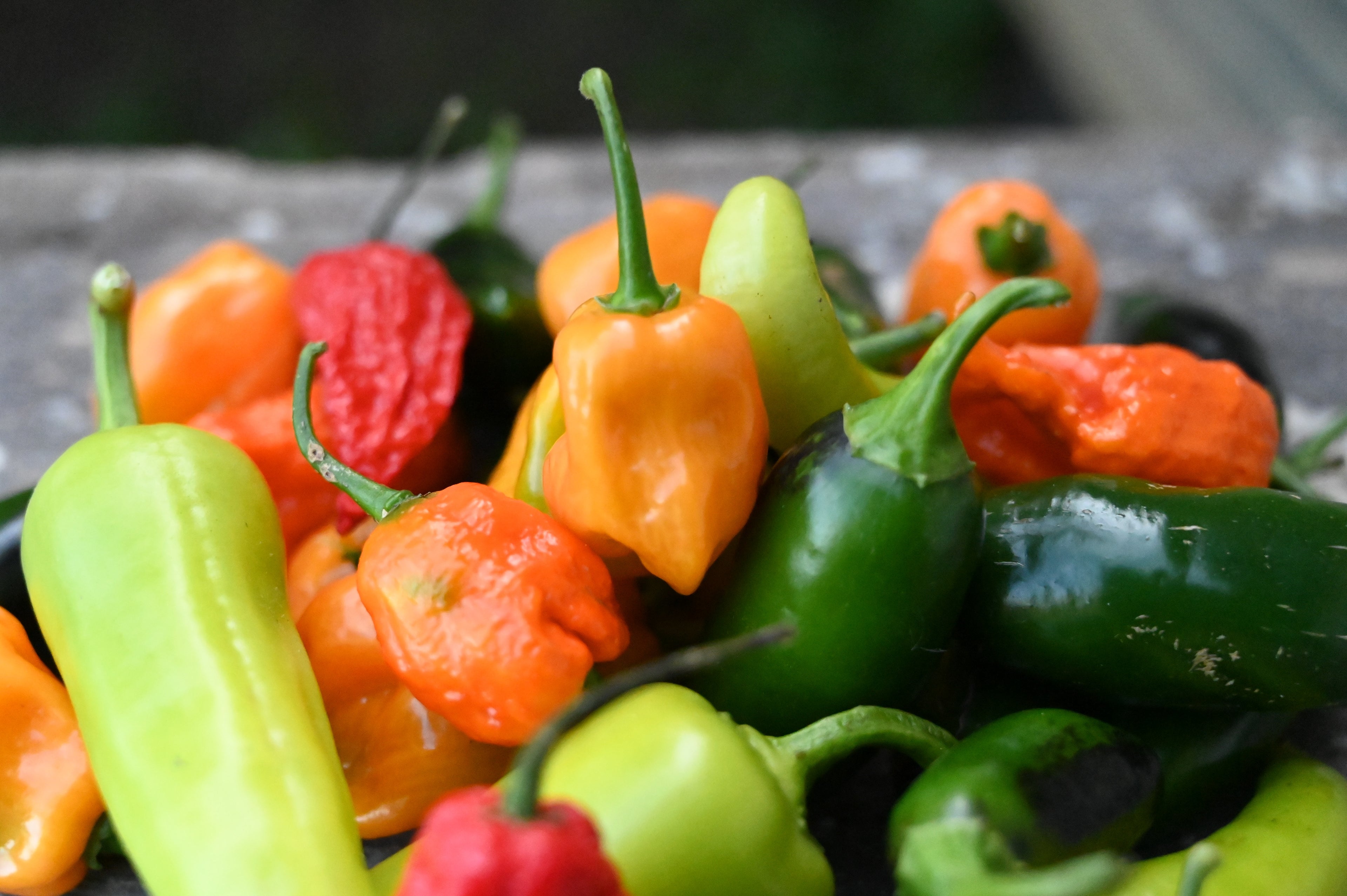 Hot Pepper Jam | 4oz. image 2