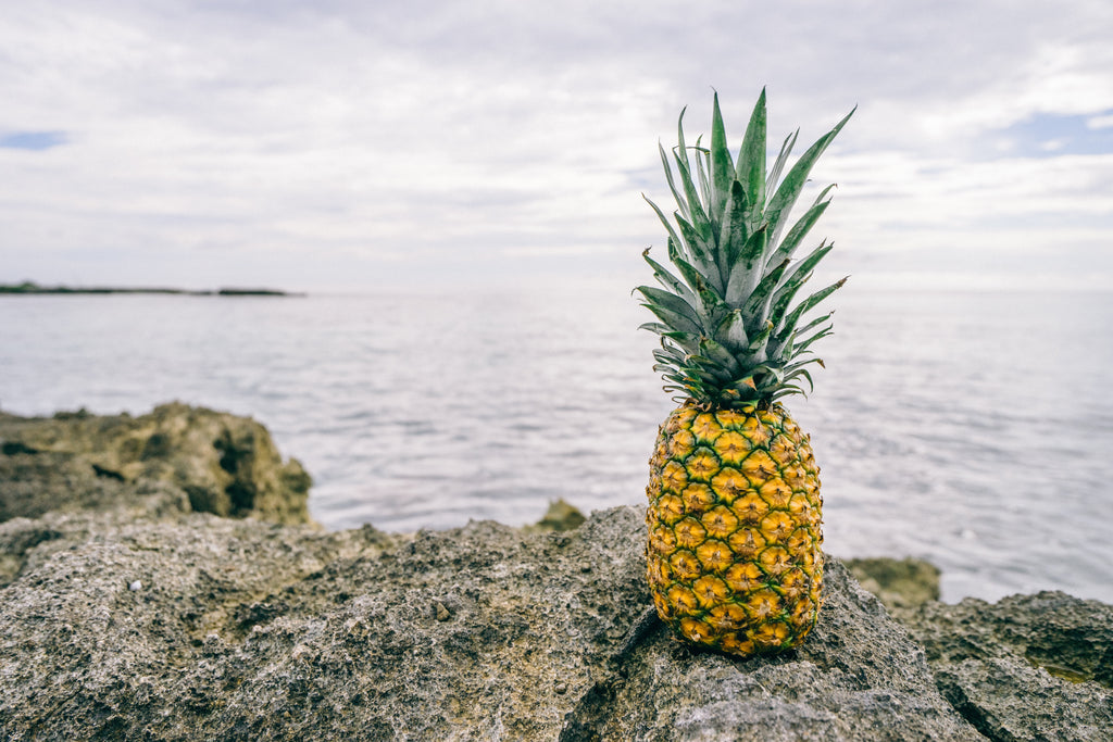 Pineapple Habanero Jam | 4 oz. image 1